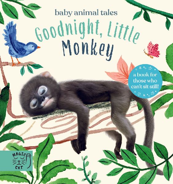 Goodnight, Little Monkey