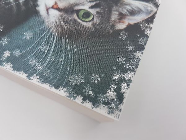 Katzenpfötchen im Schnee