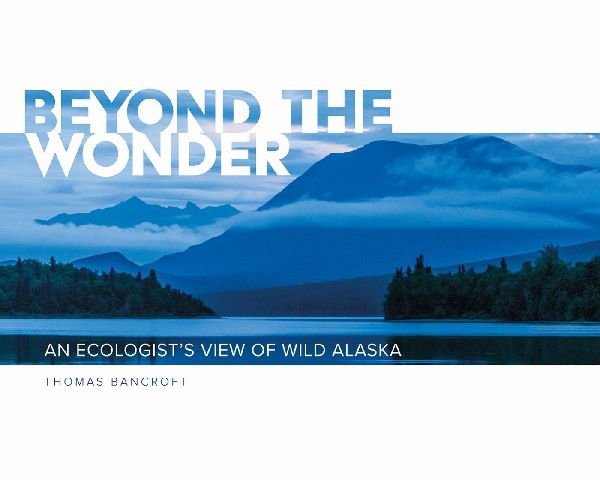 Beyond the Wonder
