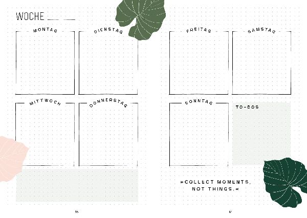 Mein Bullet Journal (Jungle Edition) - Besser planen & Träume verwirklichen