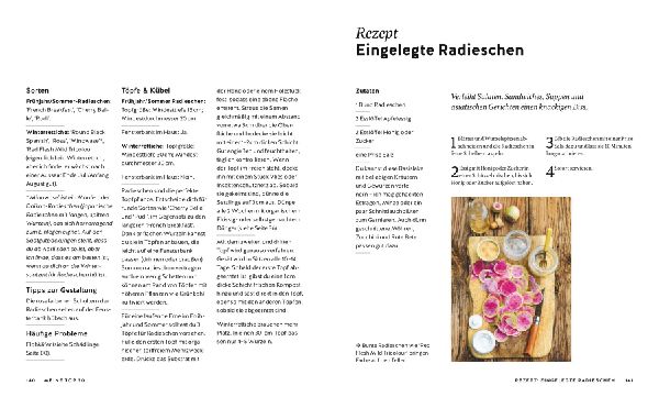 Gemüse einfach anbauen