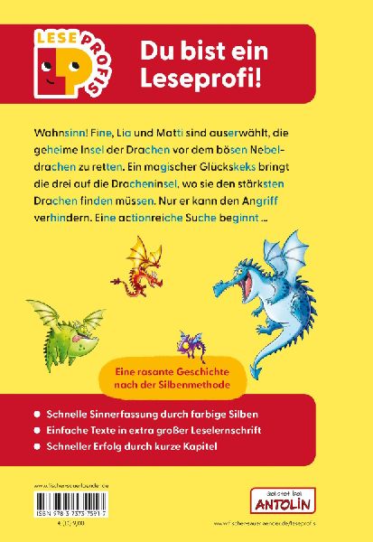 Leseprofis - Silbe-für-Silbe: Das Geheimnis der Dracheninsel, 1. Klasse