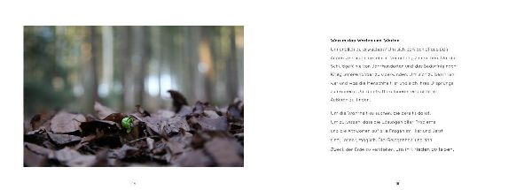 Das Blaue Juwel