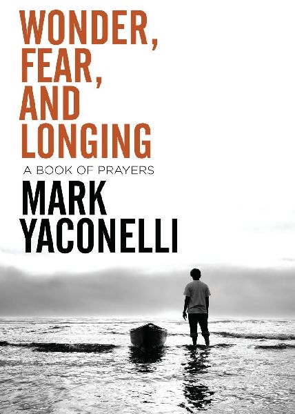 The Wonder, Fear, and Longing, Paperback