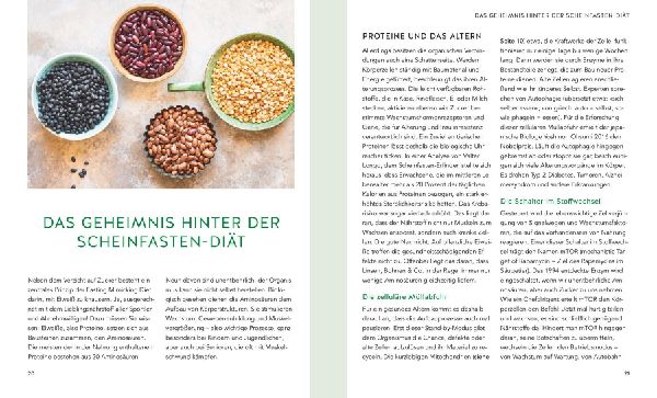 Das neue Easy-Fasten