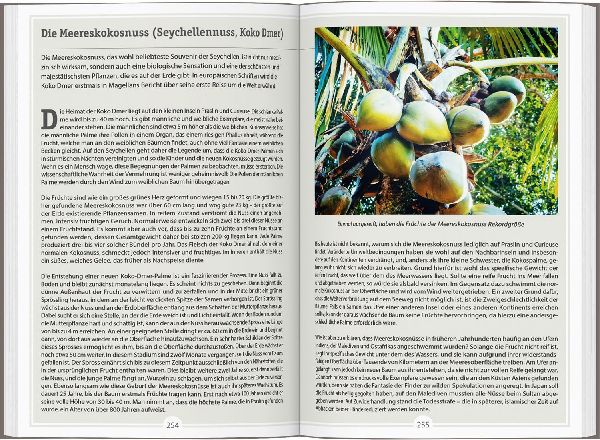 DUMONT Reise-Handbuch Reiseführer Seychellen