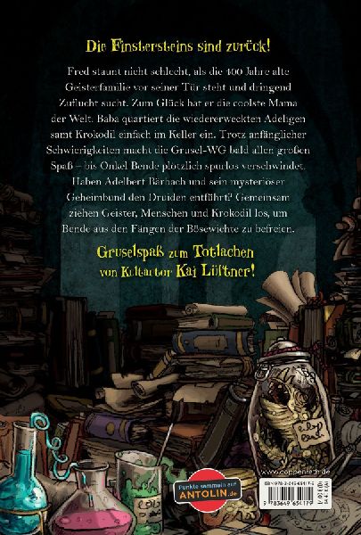 Die Finstersteins (