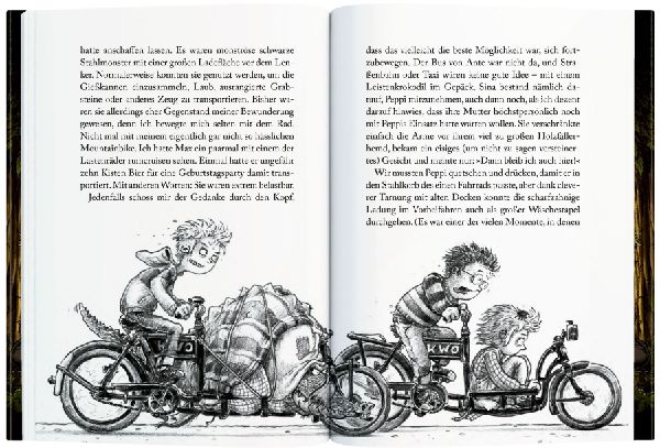 Die Finstersteins (