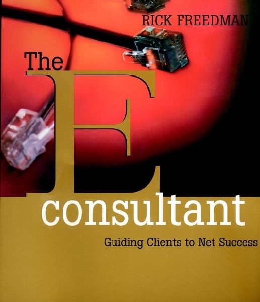 The Econsultant