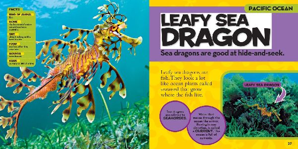 National Geographic Little Kids First Big Book of the Ocean
