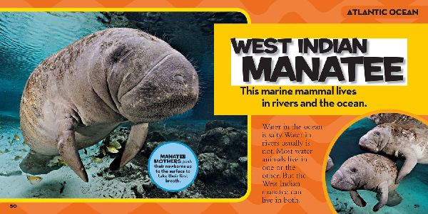 National Geographic Little Kids First Big Book of the Ocean