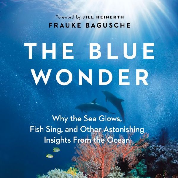 The Blue Wonder