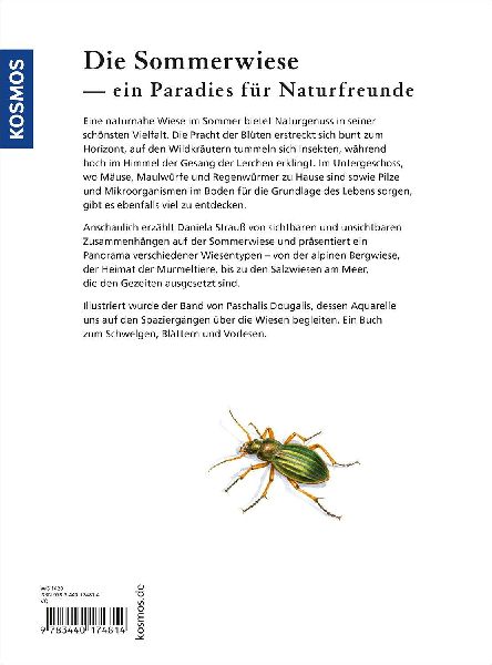 Sommerwiese