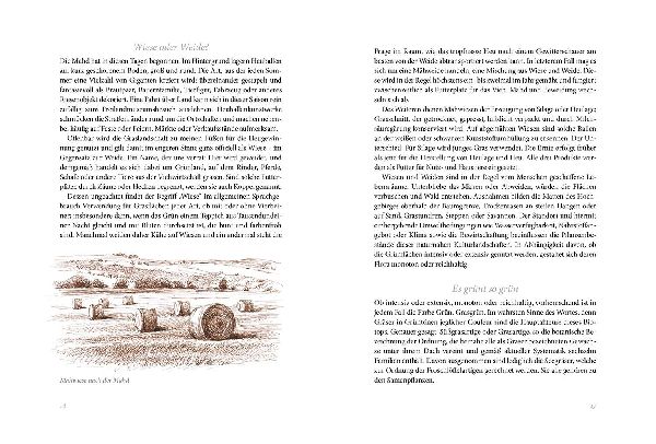 Sommerwiese
