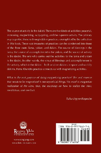 Dakini Activity