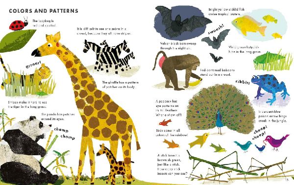 Big Book of Animals