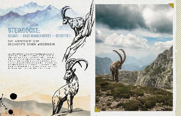 Die Alpen-Bibel