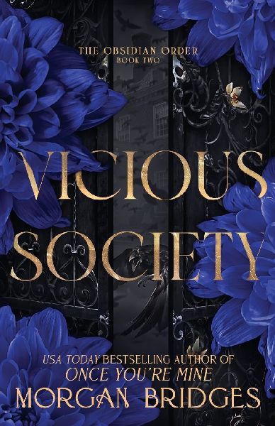Vicious Society