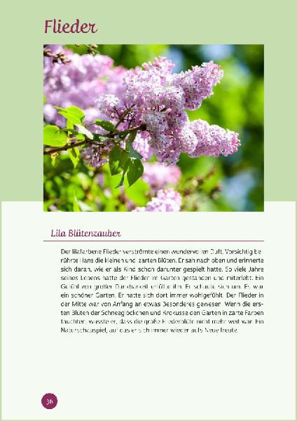 Kurzaktivierungen ohne Material. Last-Minute-Ideen für den Frühling