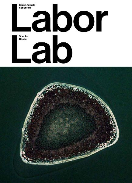 Sarah Ancelle Schönfeld: Labor Lab