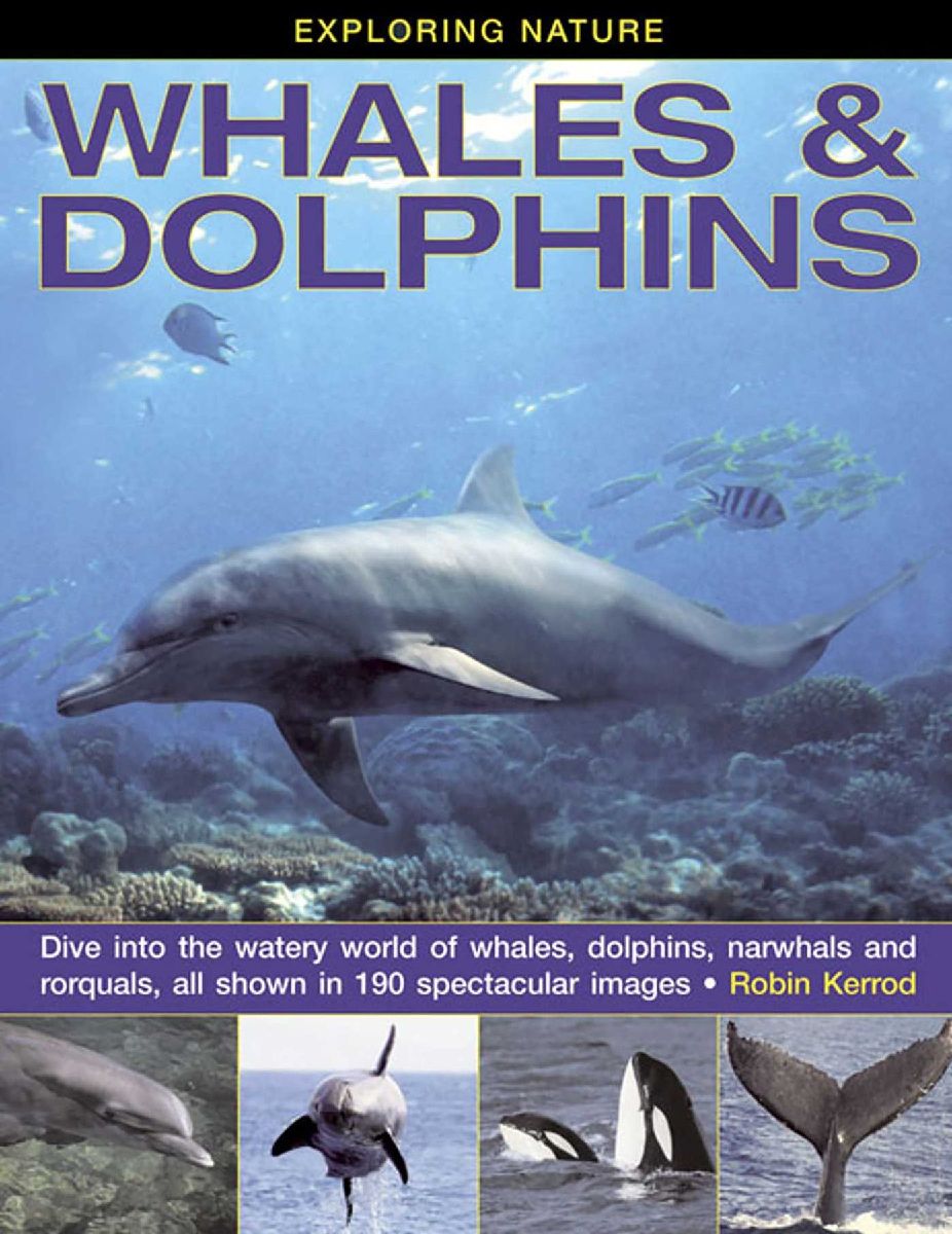 Exploring Nature: Whales & Dolphins: Dive into the Watery ...