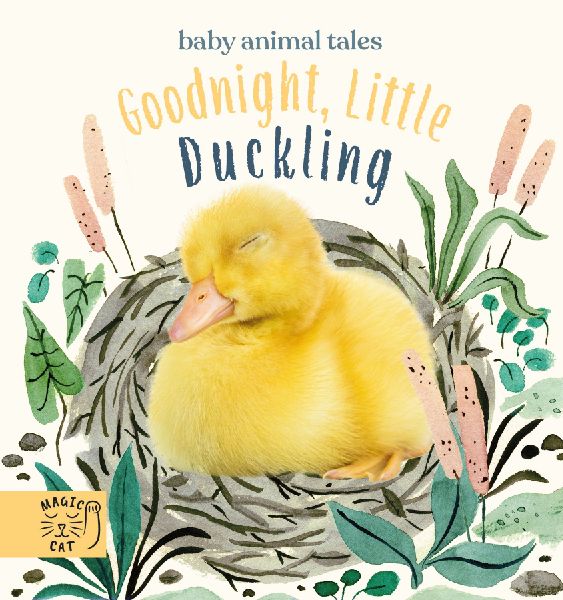 Goodnight, Little Duckling
