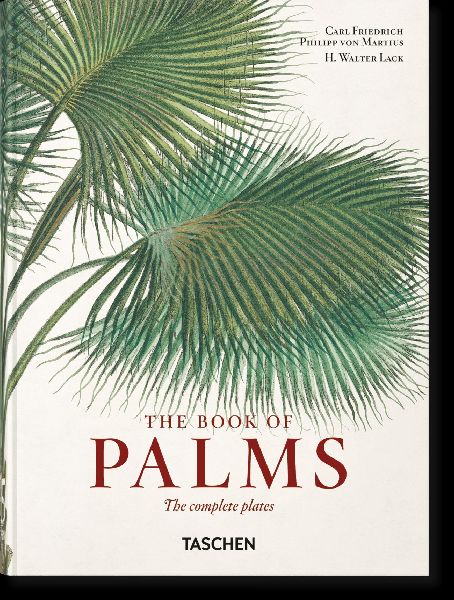 Martius. The Book of Palms