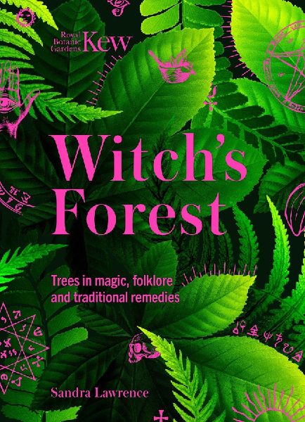Witch''s Forest