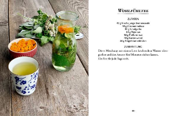 Das kleine Buch: Teegenuss aus Früchten, Blüten und Blättern