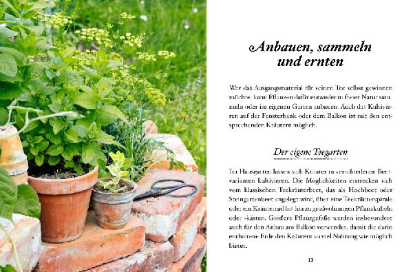 Das kleine Buch: Teegenuss aus Früchten, Blüten und Blättern