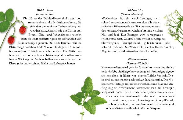 Das kleine Buch: Teegenuss aus Früchten, Blüten und Blättern