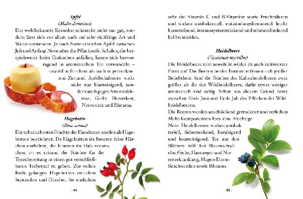 Das kleine Buch: Teegenuss aus Früchten, Blüten und Blättern
