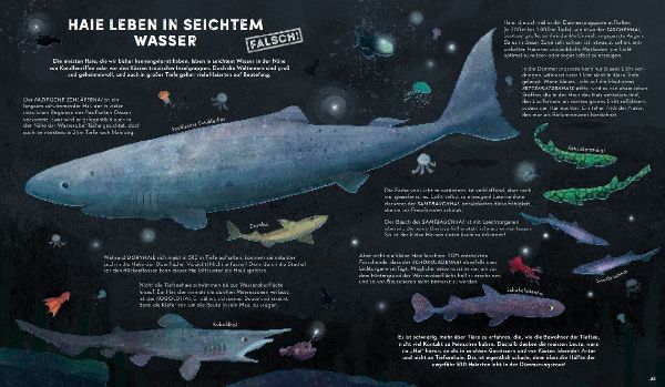 Alles, was wir über Haie wissen, ist falsch!