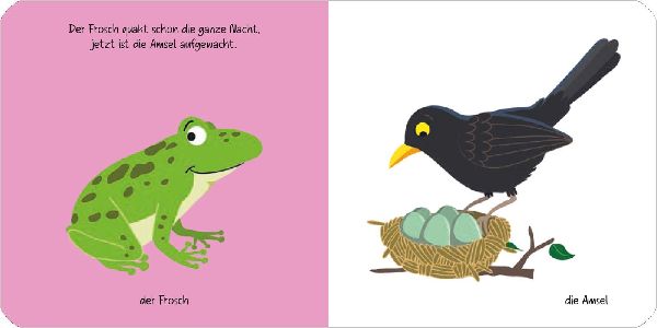 Kennst du das? Babys erstes Bildwörterbuch. Jeden Tag ein neues Tier