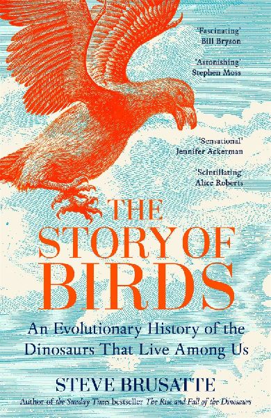 The Story of Birds