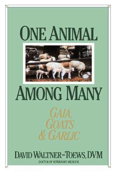 One Animal Among Many