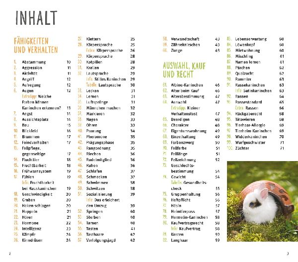 300 Fragen zum Zwergkaninchen