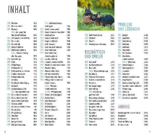 300 Fragen zum Zwergkaninchen