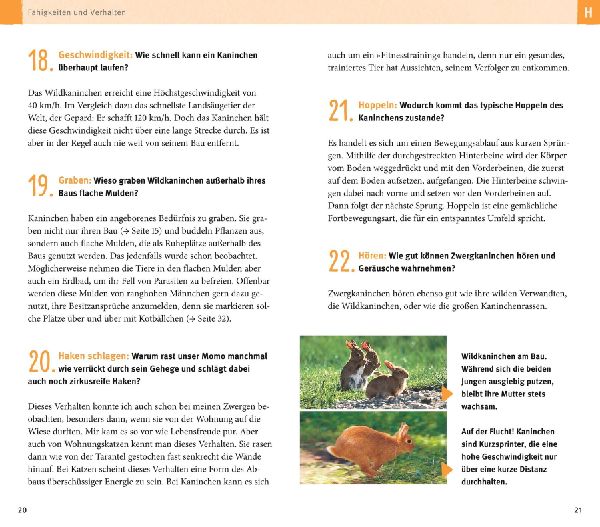 300 Fragen zum Zwergkaninchen