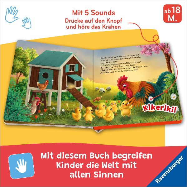Hör mal hin - Piep! Piep! Bist du mein Papa?