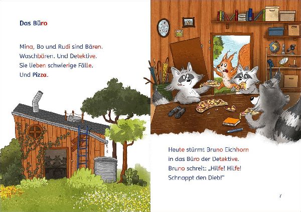 Leselöwen 1. Klasse - Drei Waschbären für alle Fälle