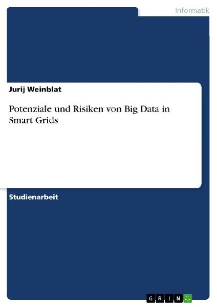 Potenziale und Risiken von Big Data in Smart Grids