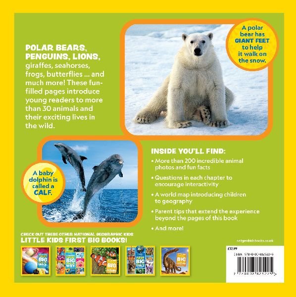 Little Kids First Big Book of Animals