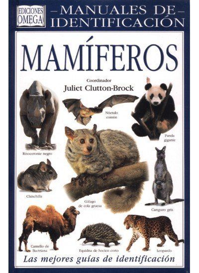 Mamíferos : manuales de identificación