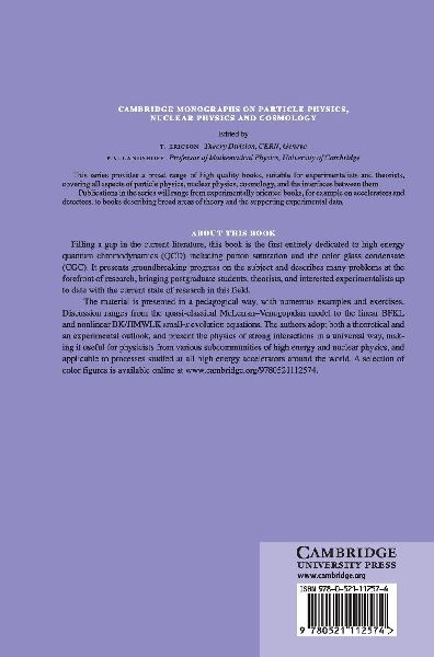 Quantum Chromodynamics at High Energy