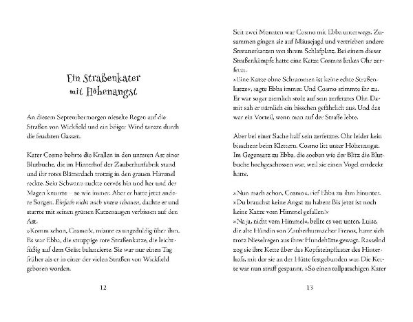 Cosmo Zauberkater 1: Der Fluch der magischen Pfote