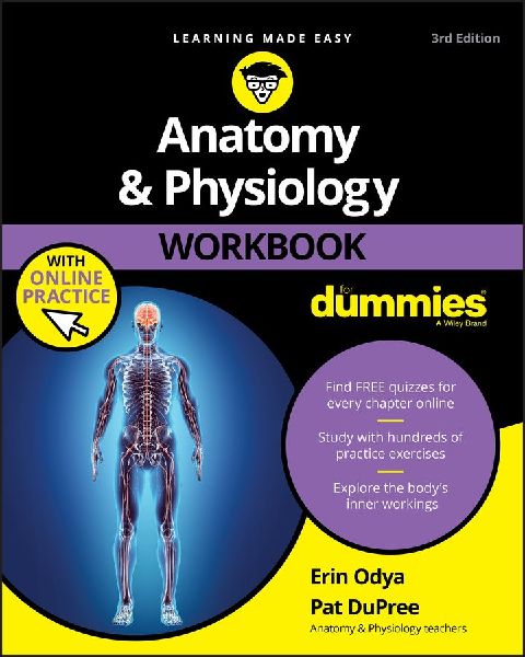 Anatomy & Physiology Workbook For Dummies with Online Prac...
