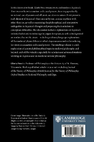 Aquinas on Efficient Causation and Causal Powers
