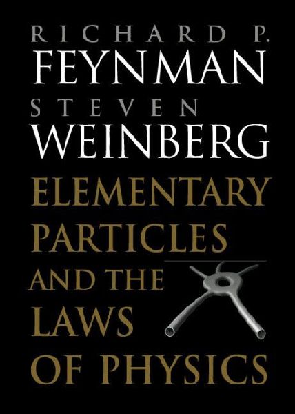 Elementary Particles and the Laws of Physics