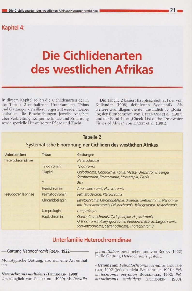 Die Cichliden des westlichen Afrikas